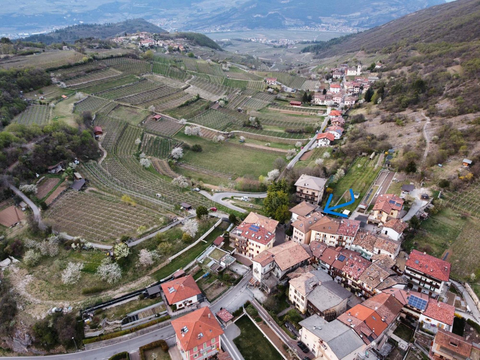 Appartamento Per Vacanze "Il Gelso" Роверето Екстер'єр фото
